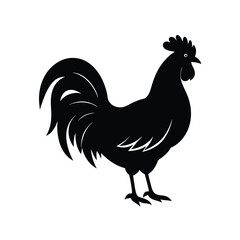 rooster isolated vector image illustration and artwork on white background