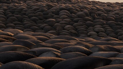 Obraz premium Sunset over Rolling Hills of Dark Brown Stones