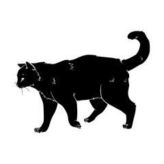 a drawing silhouette of a black cat