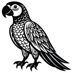 illustration of a bird vector