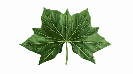 Fototapeta premium Green Natural Leaf Isolated Icon Wide Angle Centered