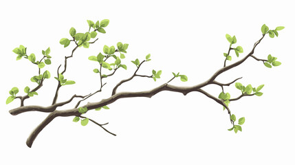 Fototapeta premium Rustic Branch Plant Decoration Wide Angle Centered