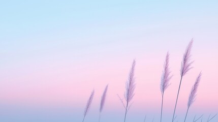 Obraz premium Serene Dawn Over Symmetrical Marshland with Reeds and a Soft Color Palette