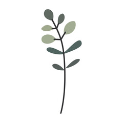 Plant leaf, branch. Icon, vector illustration, graphic design, flat style