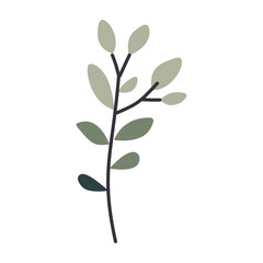 Plant leaf, branch. Icon, vector illustration, graphic design, flat style