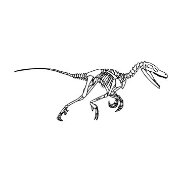 black line art velociraptor skeleton clip art preview