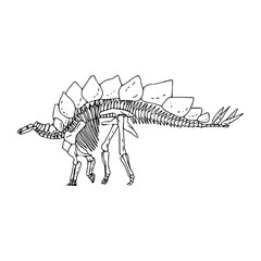 a line art drawing of a dinosaur skeleton