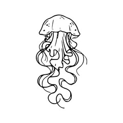 a line art drawing of a jellyfish illustration