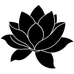 Magnolia flower silhouette with broad smooth petals