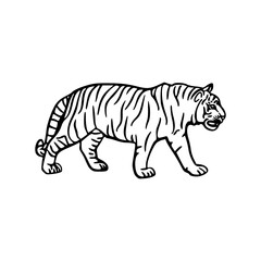 dynamic tiger line art with curled design