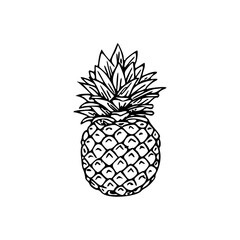 Obraz premium a detailed drawing of a pineapple illustration