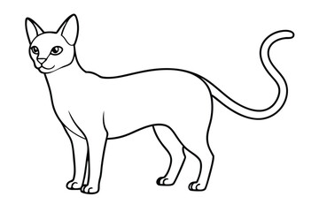 Cute animal Vector art in Illustration on a White Background