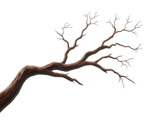 Striking silhouette, a bare tree's skeletal beauty against the clear sky stark