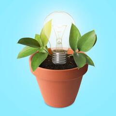 Glowing light bulb and plant with leaves growing in flowerpot on light blue background....