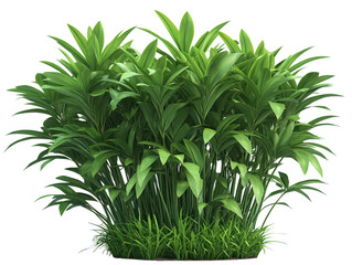 Fototapeta premium Vibrant green plant with lush foliage thriving in natural sunlight lush