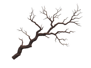 Stark silhouette of a bare branch against the bright sky, winter scene