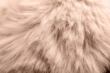Faux fur in mocha mousse shade, closeup. Trendy color of 2025 year