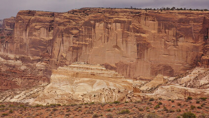 Canyon Wall Textures: A dramatic close-up reveals the richly textured layers and earthy tones of a towering canyon wall, showcasing the raw beauty and geological history of the American Southwest. 