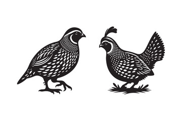 Obraz premium Quail Bird Silhouette Vector Illustration