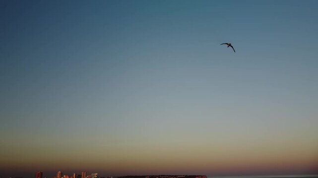 Aerial video above Gruta das Baratas Algarve Portugal