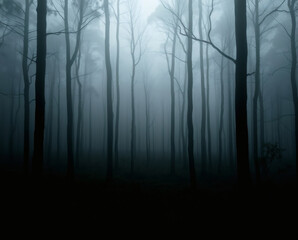 Obraz premium Mysterious forest shrouded in thick fog creates an enchanting atmosphere at dawn