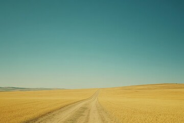 Golden field road stretches into a clear blue sky