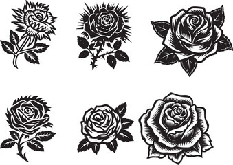 black and white roses