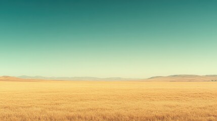 Fototapeta premium Golden fields stretch under a clear blue sky at sunset