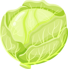 Illustrative depiction of a fresh green cabbage, showcasing intricate leaf patterns and vibrant color. Perfect for healthy eating, gardening, and organic produce themes