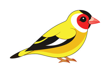 Cute Bird Vector art in Illustration on a White Background