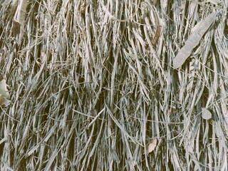 A close-up view of dried grass and leaves, showcasing a natural, textured surface in earthy tones.
