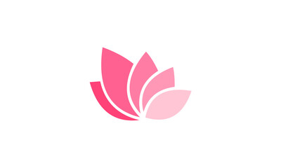 Pink lotus flower