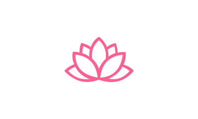 pink lotus flower