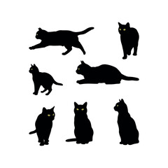 cat animals icon collection set silhouette vector flat design