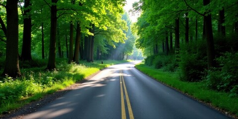 Obraz premium A sunlit asphalt road winds through a lush green canopy of trees, creating a tranquil and scenic pathway