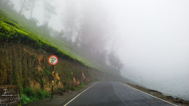 Beautiful green tea plantation at Megamalai, Theni district, Tamil Nadu, India