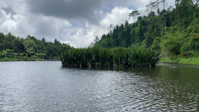Hidden in the pine forests of Gununglurah, Telaga Kumpe is a serene mountain lake nestled on Mount Slamet's slopes. 