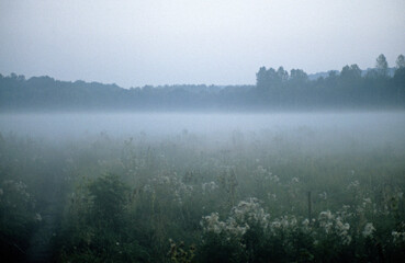 Campagne, lever du jour,  60, Hauts de France, Compi&egrave;gne, Oise, France
