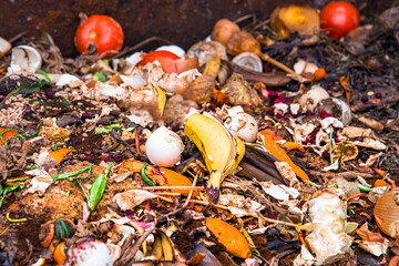 composting pile of vegetables fruits. Concept Organic waste, clean environment
