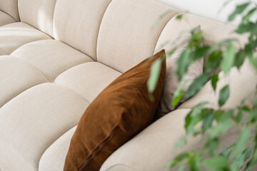 Cozy living room with a stylish beige couch and decorative pillow