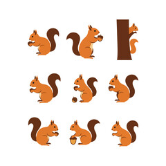 squirrel animal logo icon vector flat design illustrations © Graphic Ornaments