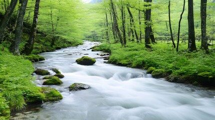 Serene River Flowing Through Lush Green Forest