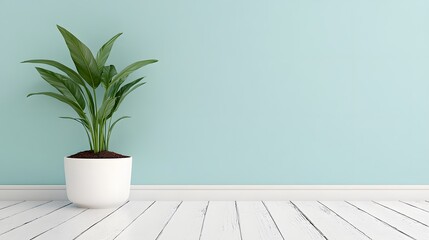 Fototapeta premium Modern Minimalist Interior Design with Plant in White Pot against Teal Wall