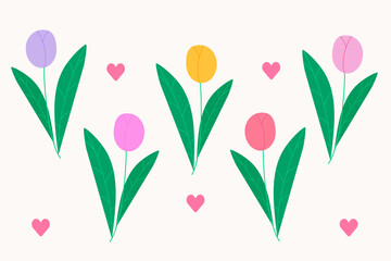 Obraz premium Set with various tulips. Bouquets for Women`s day and Mother`s day. Modern isolated vector illustration.