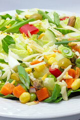 Tex Mex Salad Plate Close up