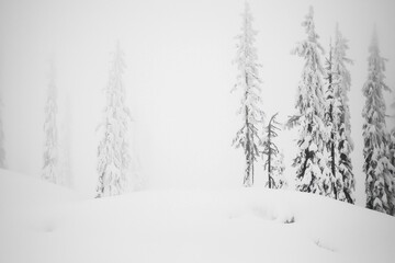 A blizzard covering a mountain pass, with snowdrifts burying the road and limiting visibility.