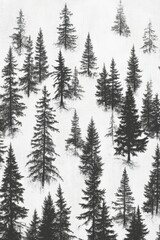 Wooded landscape with evergreen trees in winter setting