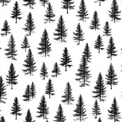 Obraz premium Black and white pattern featuring tall pine trees in nature