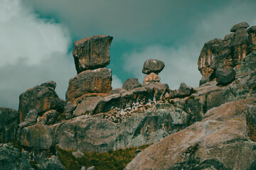 Bosque de piedras Huayllay Peru