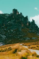 Bosque de piedras Huayllay Peru